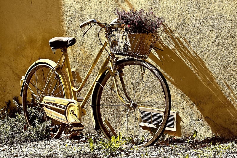 Tranquil Cycling Path